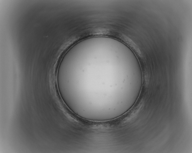 X0000112390721200908271339