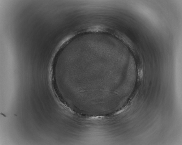 X0000112390724200908271339