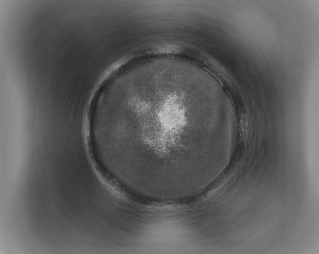 X0000112390726200908271339