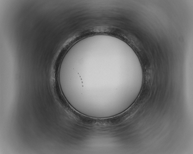 X0000112390727200908271339