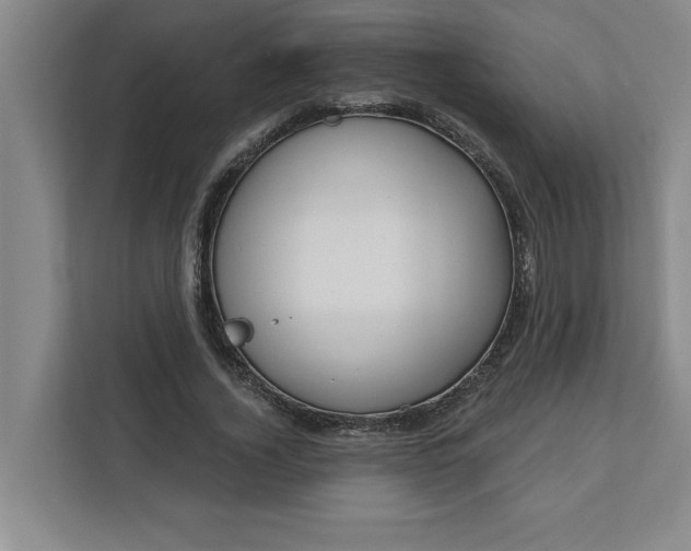 X0000112390732200908271339