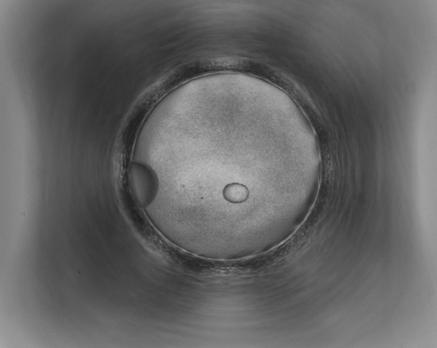 X0000112390736200908271339