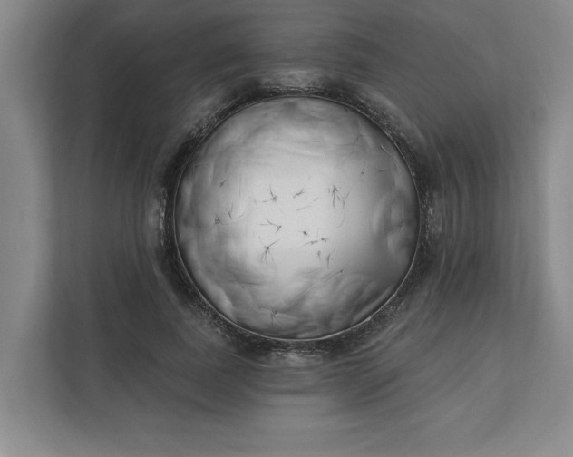 X0000112390739200908271339