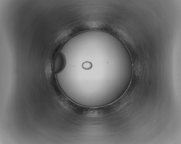 X0000112390740200908271339