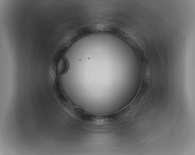 X0000112390746200908271339