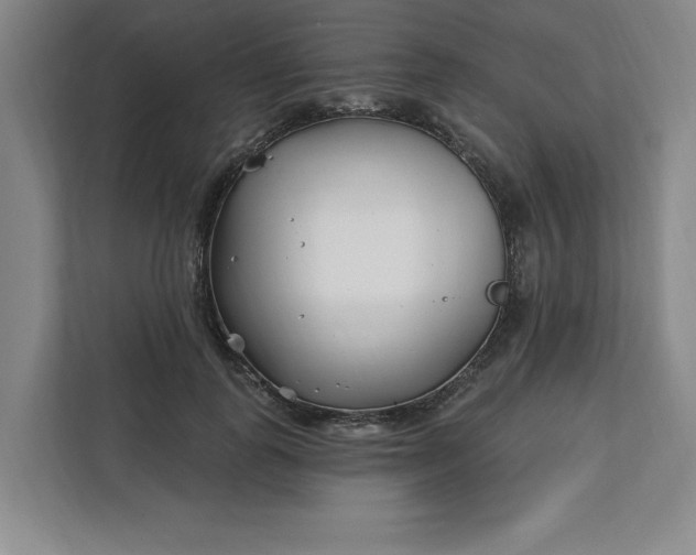 X0000112390747200908271339