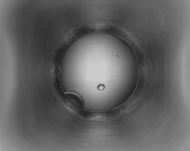 X0000112390750200908271339