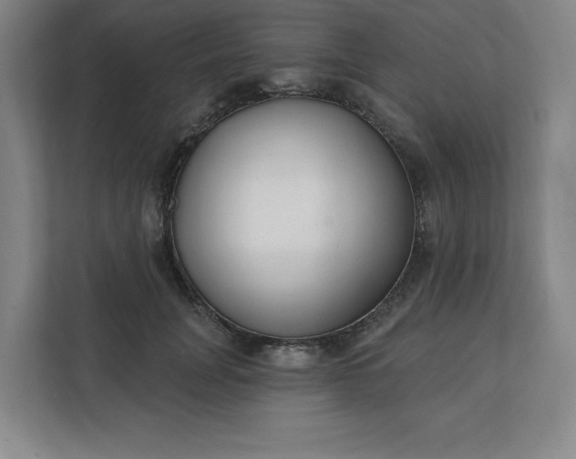 X0000112390751200908271339