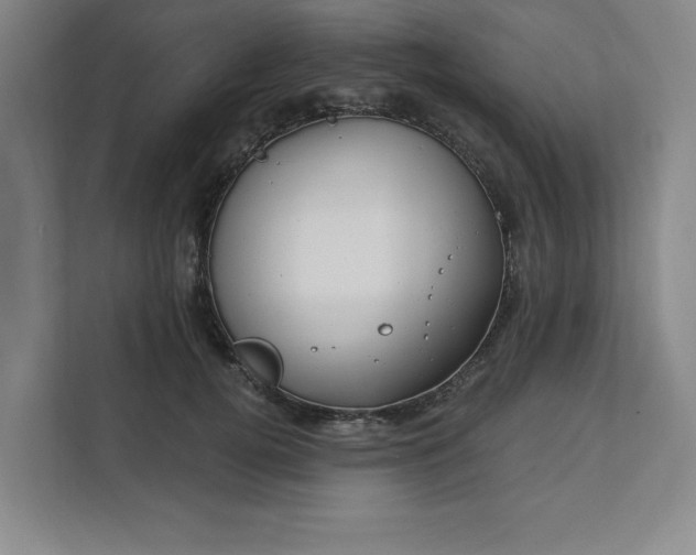 X0000112390752200908271339