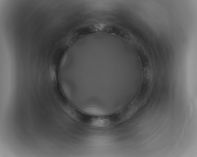 X0000112390754200908271339