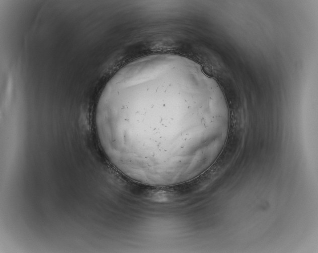 X0000112390755200908271339