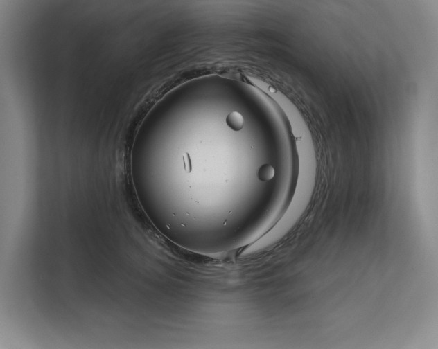 X0000112390756200908271339