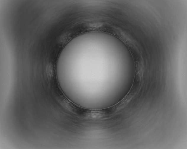 X0000112390758200908271339