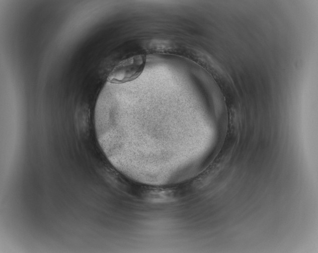 X0000112390760200908271339