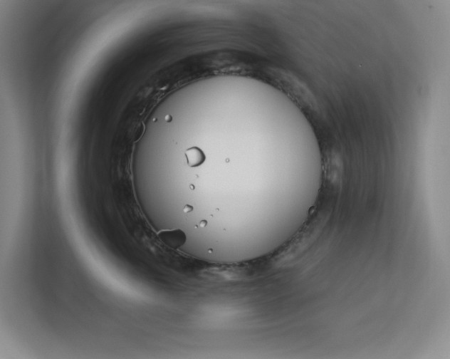 X0000112390763200908271339