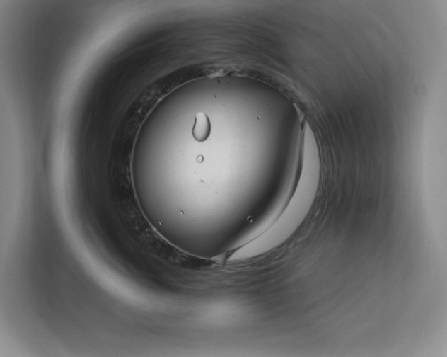 X0000112390764200908271340