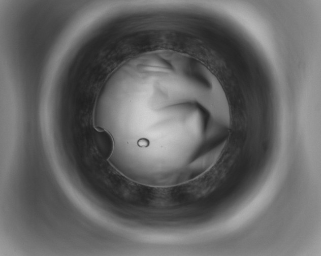 X0000112390766200908271340