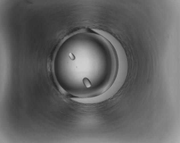 X0000112390768200908271340