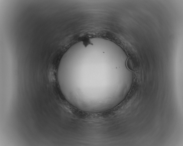 X0000112390770200908271339