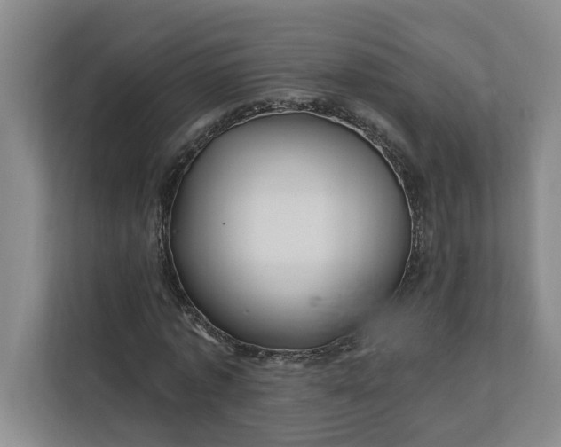 X0000112390773200908271339