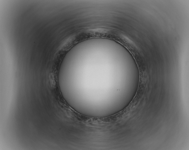 X0000112390774200908271339