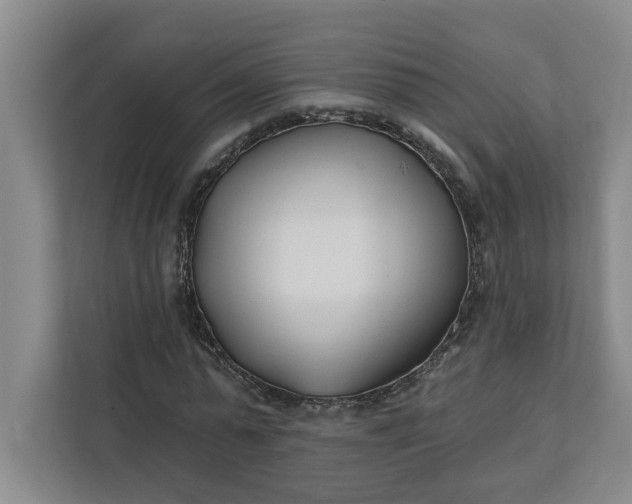 X0000112390775200908271339