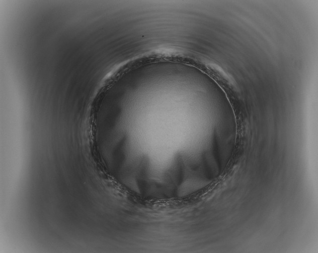 X0000112390776200908271339