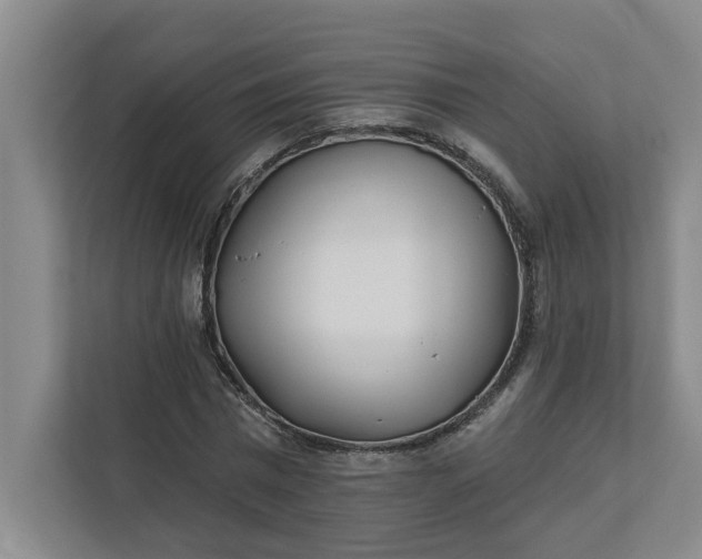 X0000112390777200908271339