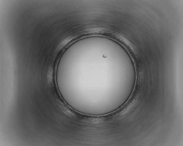 X0000112390778200908271339