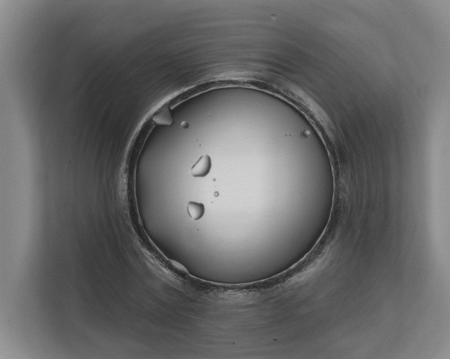 X0000112390779200908271339