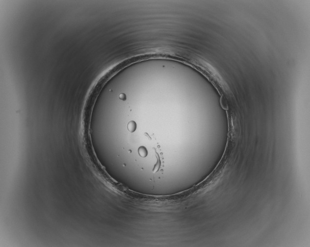 X0000112390780200908271339