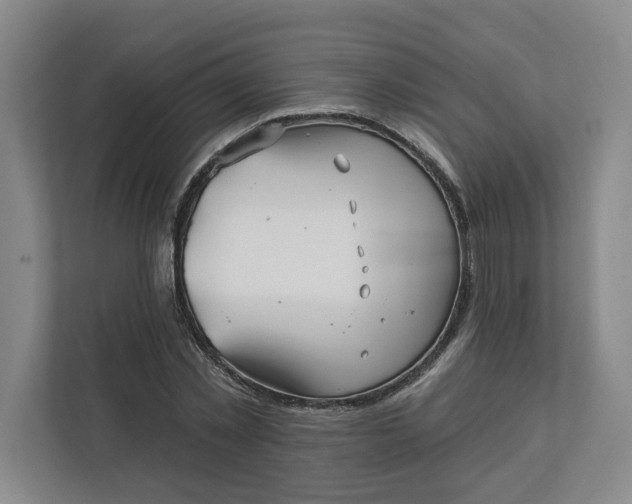 X0000112390781200908271339