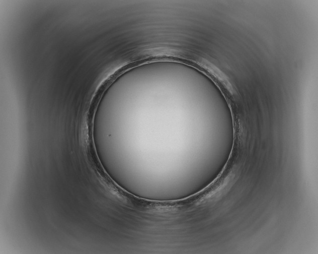 X0000112390782200908271339