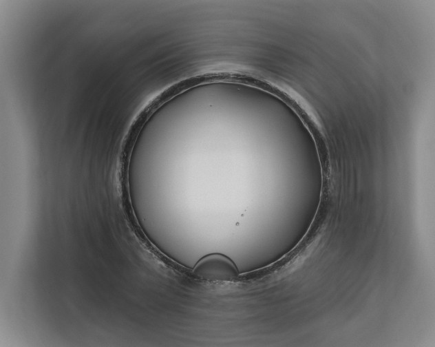 X0000112390783200908271339