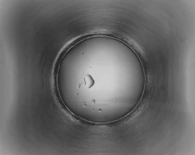 X0000112390784200908271339