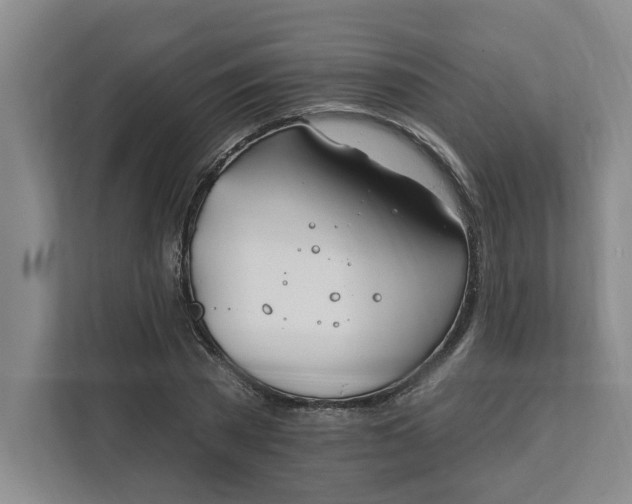 X0000112390785200908271339