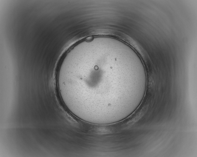 X0000112390787200908271339