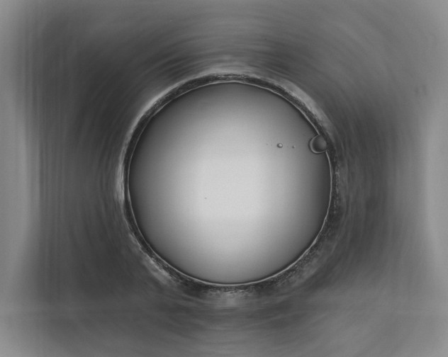 X0000112390791200908271339