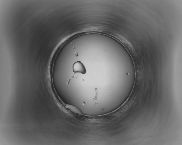 X0000112390792200908271339