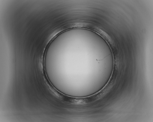 X0000112390794200908271339