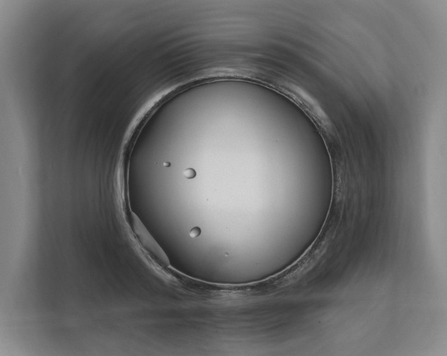 X0000112390796200908271339