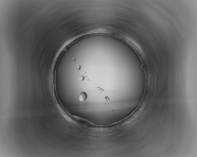 X0000112390800200908271339