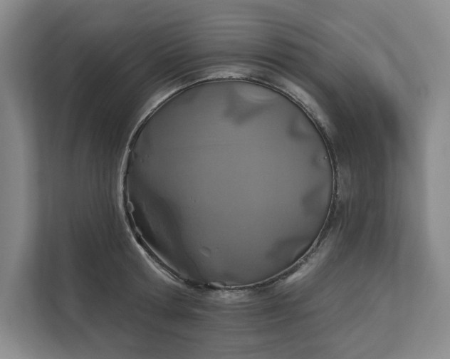 X0000112390802200908271339