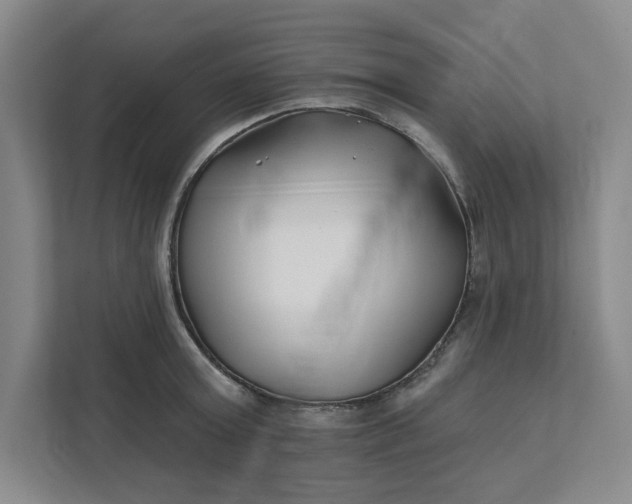 X0000112390803200908271338