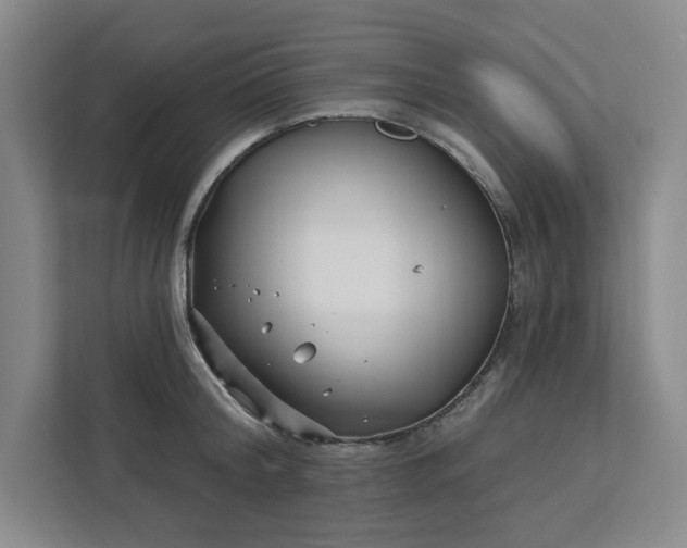 X0000112390804200908271338