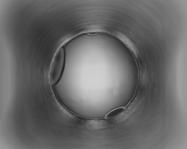 X0000112390805200908271338