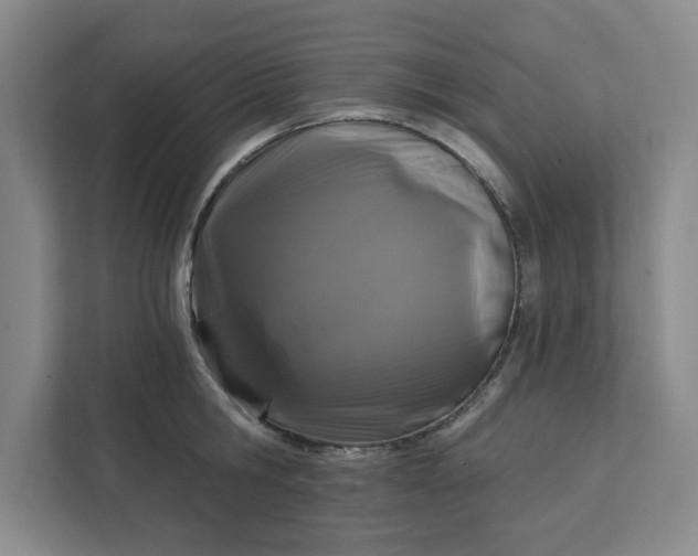 X0000112390806200908271338