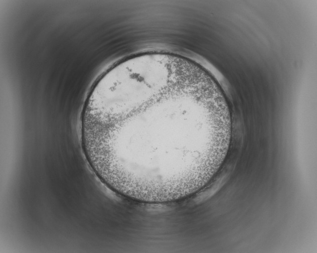 X0000112390807200908271338