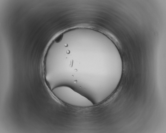 X0000112390808200908271338