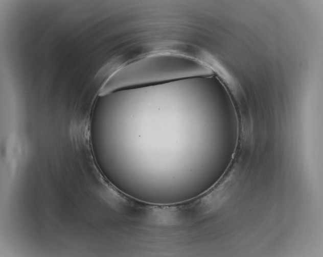 X0000112390809200908271338